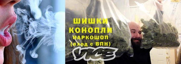 мдпв Горно-Алтайск