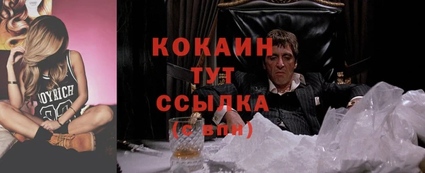 метадон Горняк