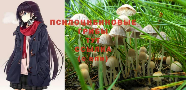 тгк Горнозаводск