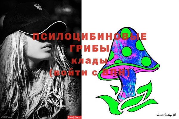 тгк Горнозаводск