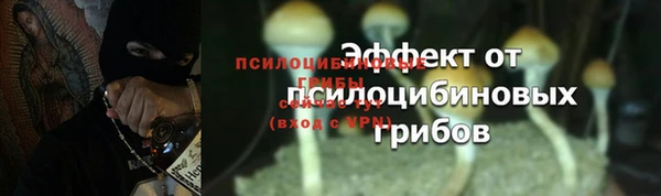 каннабис Вяземский