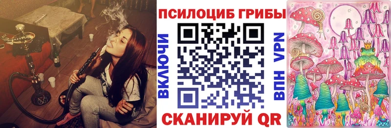 Купить  Шагонар  Псилоцибиновые грибы Magic Shrooms 